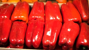 Del campo a la góndola, los precios de los agroalimentos se multiplicaron por 3,3 veces en mayo