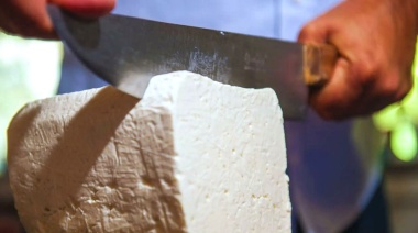 Contiene fitoesteroles y antioxidantes naturales: el primer queso que ayuda a reducir el colesterol