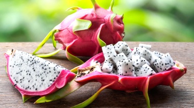 Estudian cómo optimizar el cultivo de la “fruta del dragón”