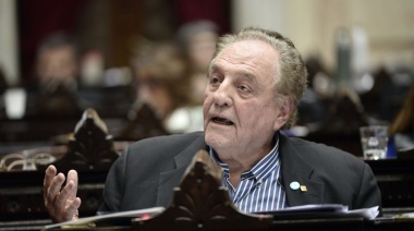 “La Ley Bases es ahora un poco menos horrible, pero eso no la convierte en buena”