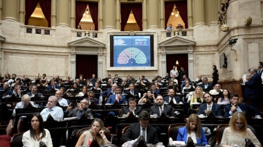 Diputados aprobó las emergencias pedidas por Milei