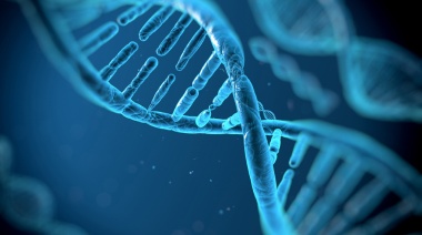 Claves de la genética para prevenir el cáncer