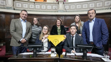 El Senado bonaerense dio luz verde a iniciativas para acompañar a mujeres con endometriosis