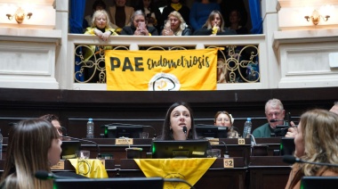 Aprueban ley fundamental para la cobertura integral de la endometriosis