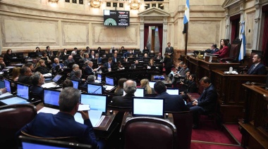 Sorpresivo rechazo del Senado a Ficha Limpia