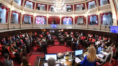 La oposición en el Senado mete presión y pide una sesión especial para suspender las PASO