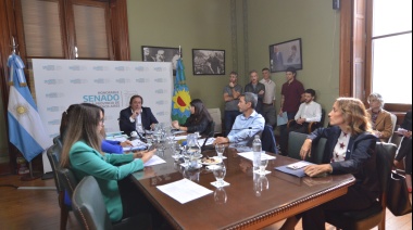 Avanza el proyecto que habilita la reelección indefinida de legisladores