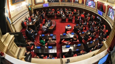 El Senado trata la reelección indefinida de legisladores: ¿Y los intendentes?
