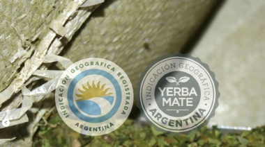 Más de 20 marcas de yerba mate ya lucen el sello de “Indicación Geográfica”