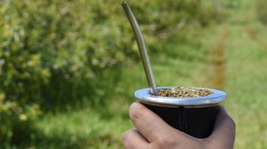 Las ventas de yerba mate superaron los 76 millones de kilos el primer trimestre