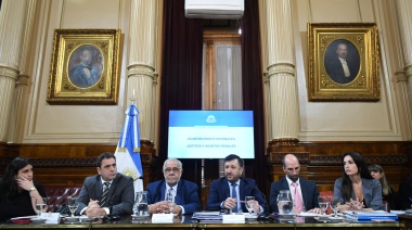 Se debatió sobre la boleta única de papel en plenario de comisiones del Senado