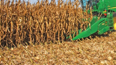 Nuevos programas de financiamiento para productores agropecuarios bonaerenses
