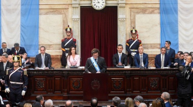 “El Congreso poco va a tener que hacer durante el Gobierno de Milei”