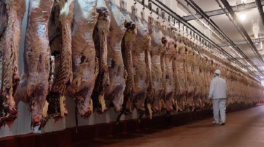 Echaron a 40 trabajadores en un frigorífico de Azul: “Nos quedamos sin trabajo”