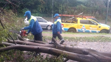 Temporal en el AMBA: intenso despliegue de los equipos municipales en Almirante Brown