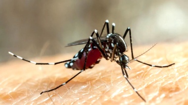 Ante la inacción de Nación, la Provincia amplía su estrategia para prevenir el dengue