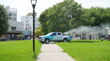 La Plata tomada por los mosquitos: se intensifica el plan de acción para combatirlos