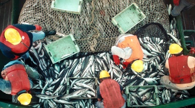 Bronca sindical por la batería de derogaciones: “Vuelven a embestir a la pesca argentina”