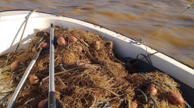 Inquietud sectorial por las acefalías en la Subsecretaría de Recursos Acuáticos y Pesca