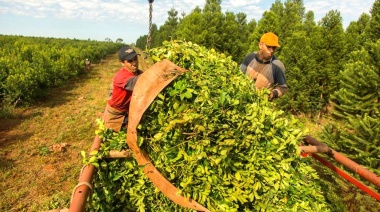 Básico de 425 mil pesos para peones rurales