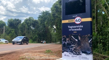 “Yaguaretés cruzando”: tótems de velocidad para protección de fauna silvestre en Iguazú