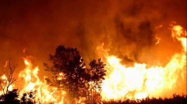 El nuevo titular de Ambiente criticó al Gobierno por los incendios y su designación está en duda
