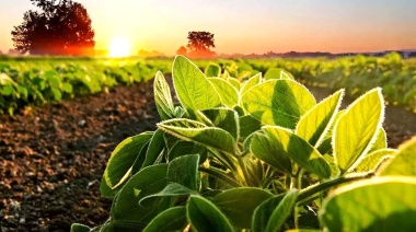 La Universidad Nacional de Luján recibe al primer Congreso Provincial de Agroecología