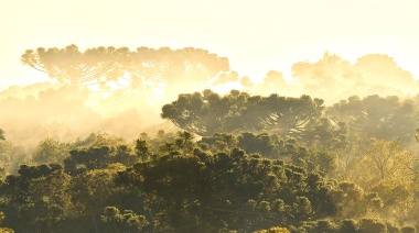 Nueva plataforma de áreas claves para biodiversidad y conservación de las aves