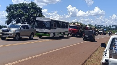 “Misiones paralizada”: advierten por posible desabastecimiento de yerba mate