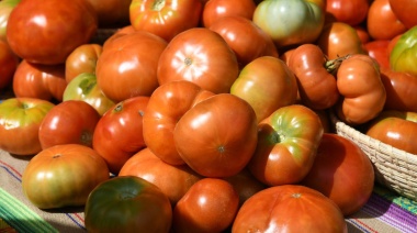 Gran éxito de la vigésima Fiesta del Tomate Platense