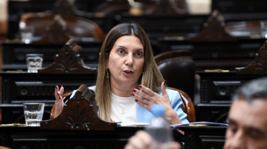 Interna a cielo abierto del PRO en plena sesión: Ritondo y Lospennato se cruzaron a los gritos