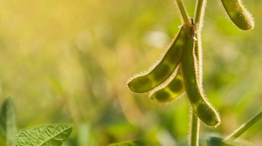 Federación Agraria insta a “generar un equilibrio y mantener la producción”