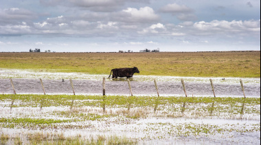Por las inundaciones, declaran la emergencia agropecuaria en diez municipios bonaerenses