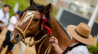 Llega La Rural la expo “Nuestros Caballos”