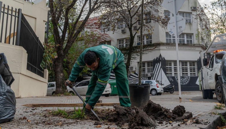 Arrancó la plantación anual de árboles en la Ciudad de Buenos Aires