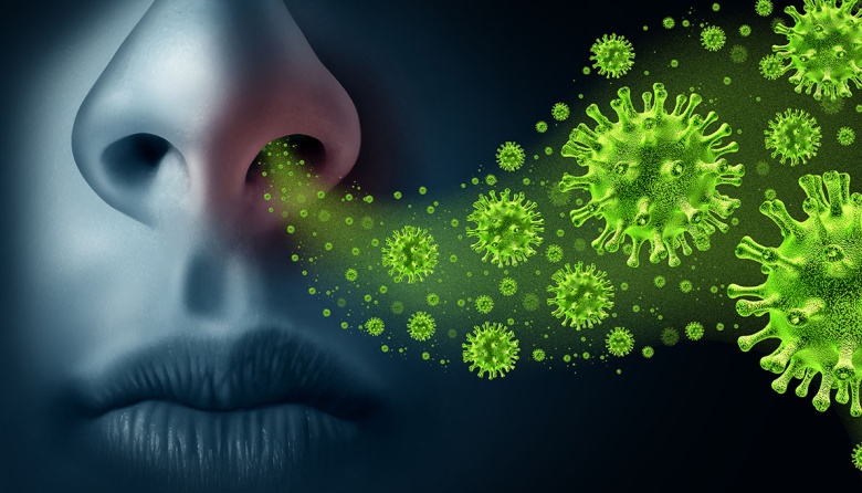 El primer contacto con el virus de la gripe define la respuesta futura del sistema inmunológico