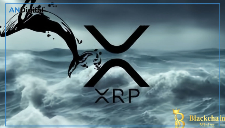Grandes inversores de Ripple (XRP) se vuelcan a BlackchainMining y obtienen casi USD 10.000 en ganancias