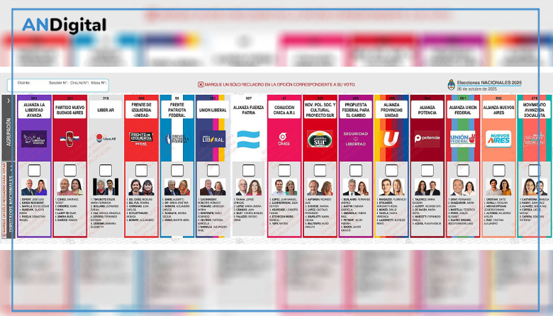 La Justicia electoral ordenó que los resultados se publiquen por provincia