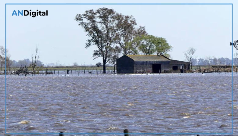 Eximen del Inmobiliario Rural a los campos de 19 distritos afectados por inundaciones