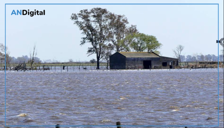 Continúa la asistencia coordinada en las zonas afectadas por inundaciones