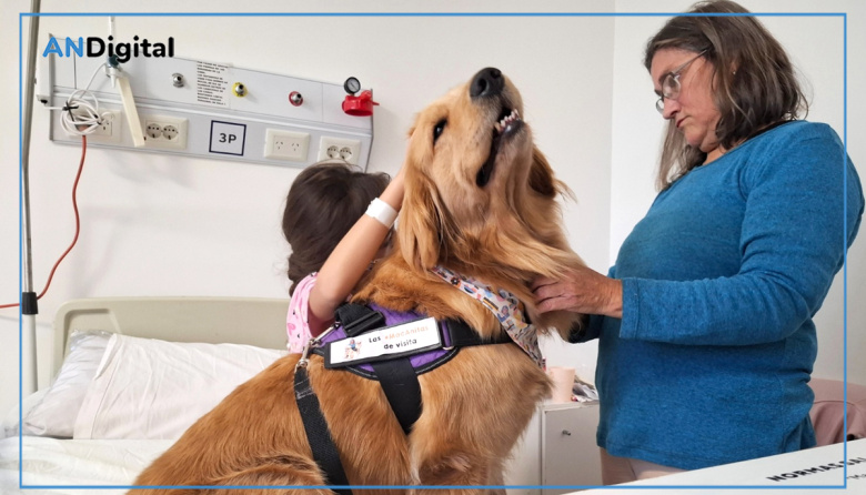 Los perros que desparraman juegos y amor en el Hospital de Niños de La Plata