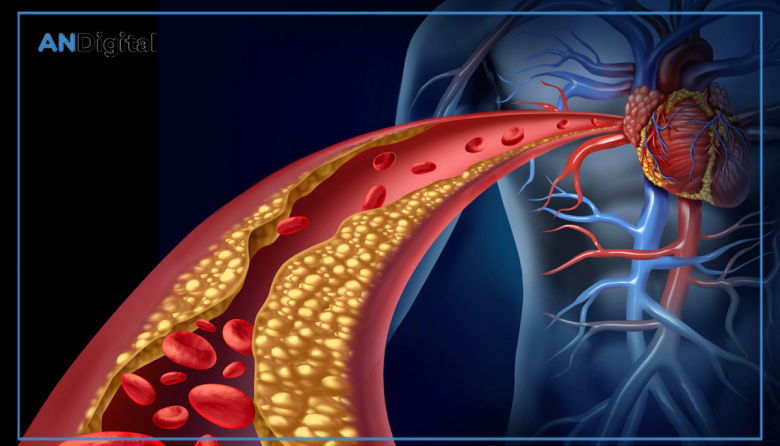 Colesterol: cuál es el riesgo silencioso que los análisis de rutina no detectan