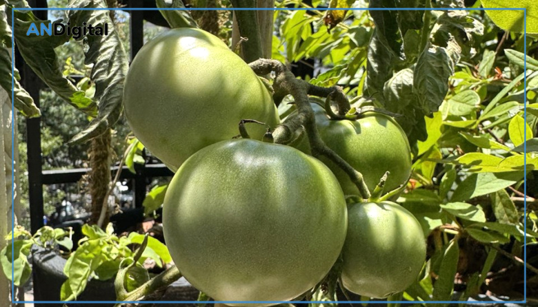 Cristina Kirchner, el “tomate peronista” y las “anteojeras ideológicas”