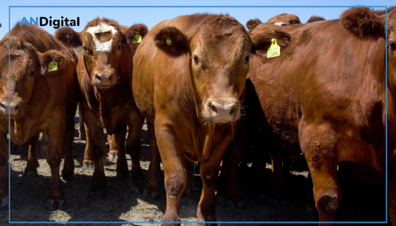 La certificación europea en bienestar animal llegó a nuestro país