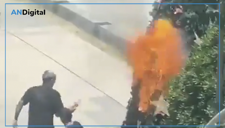 Militantes ligados a Grabois protestaron en Lanús y hasta quemaron un árbol de Navidad