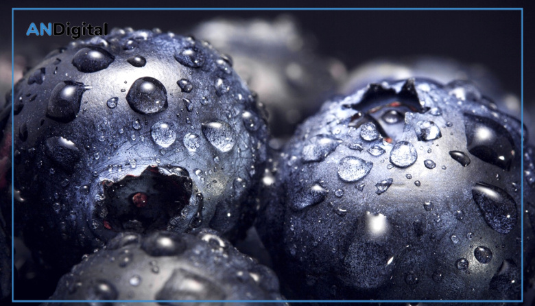 El arándano entrerriano tuvo un auspicioso 2025