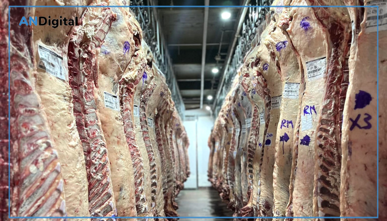 Precios altos y bajos salarios, razones en la caída del consumo de carne