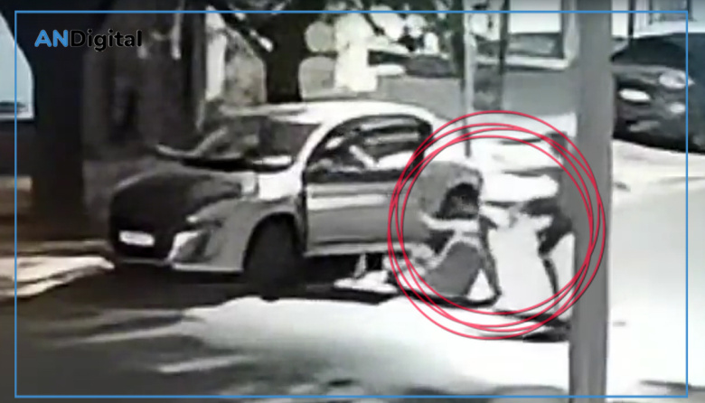 Merlo violento: Ladrones le pegaron una bestial patada en la cabeza para poder robarle