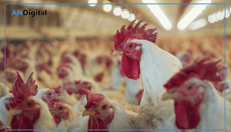 Detectan un caso de gripe aviar en CABA: Recomiendan evitar contacto con aves en parques y reservas