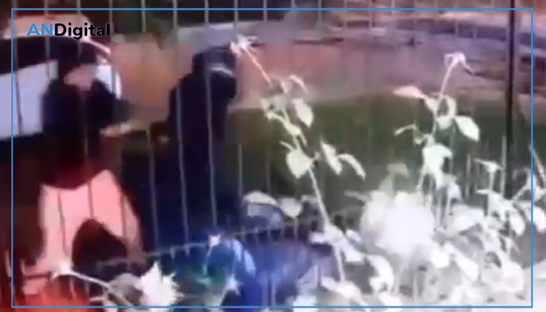 “Dame la moto o te quemo”: Un policía resistió a tiros un robo en Mar del Plata